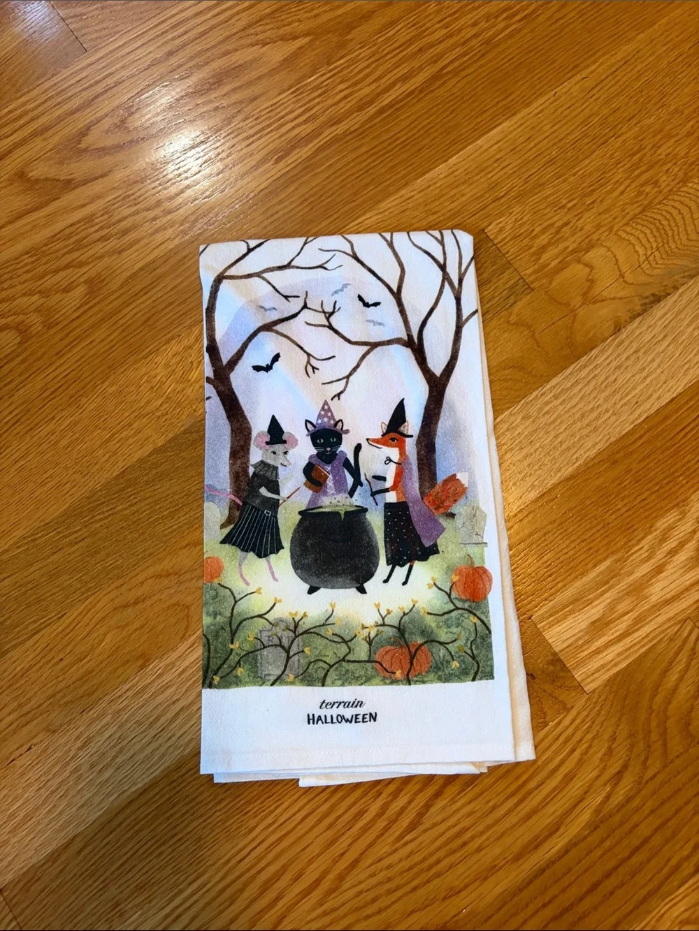 Anthropologie Terrain Witchy Critters Cotton Dish Towel Halloween NEW